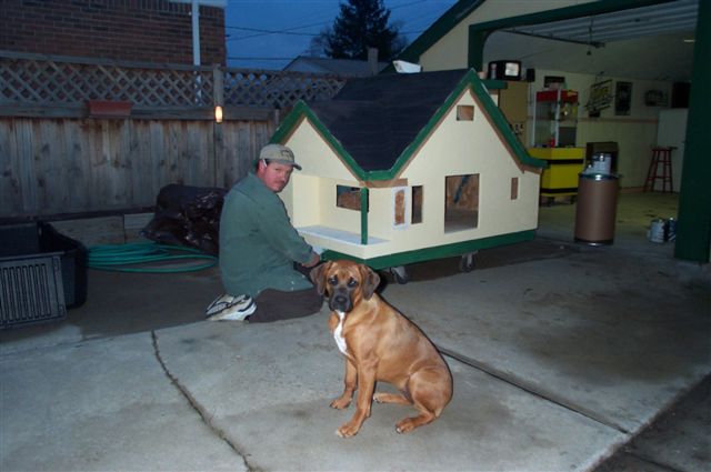 dog1.jpg